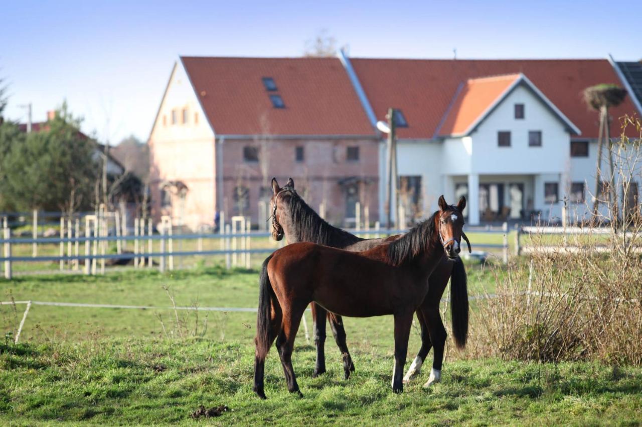 Stajnia Lipnik Apartments Kadyny Esterno foto